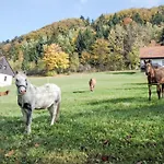 Valley Park 9 By Interhome * Stárkov
